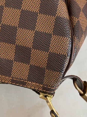 Louis Vuitton Damier Ebene Speedy 30 Bag