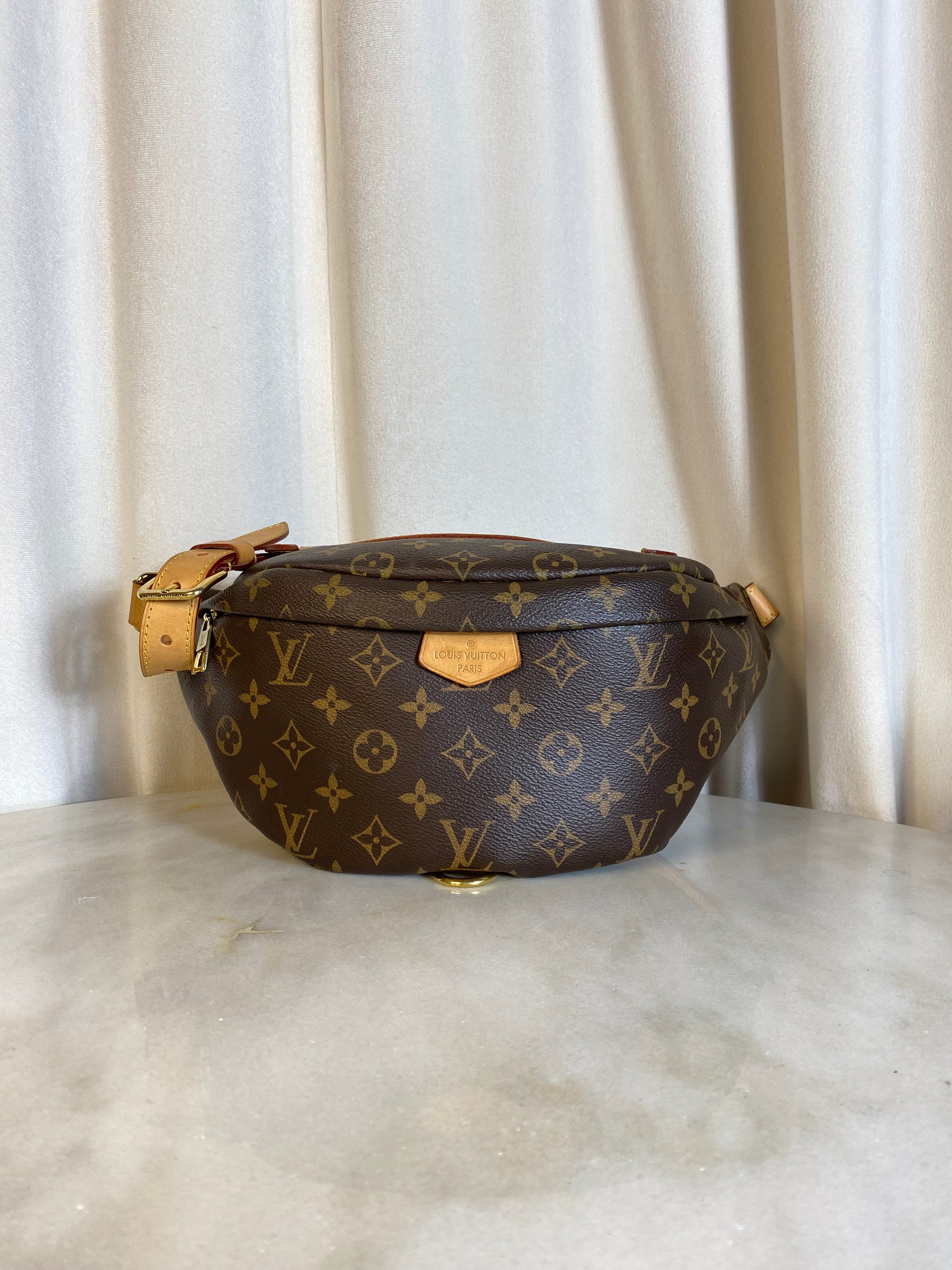 Louis Vuitton Monogram Bumbag