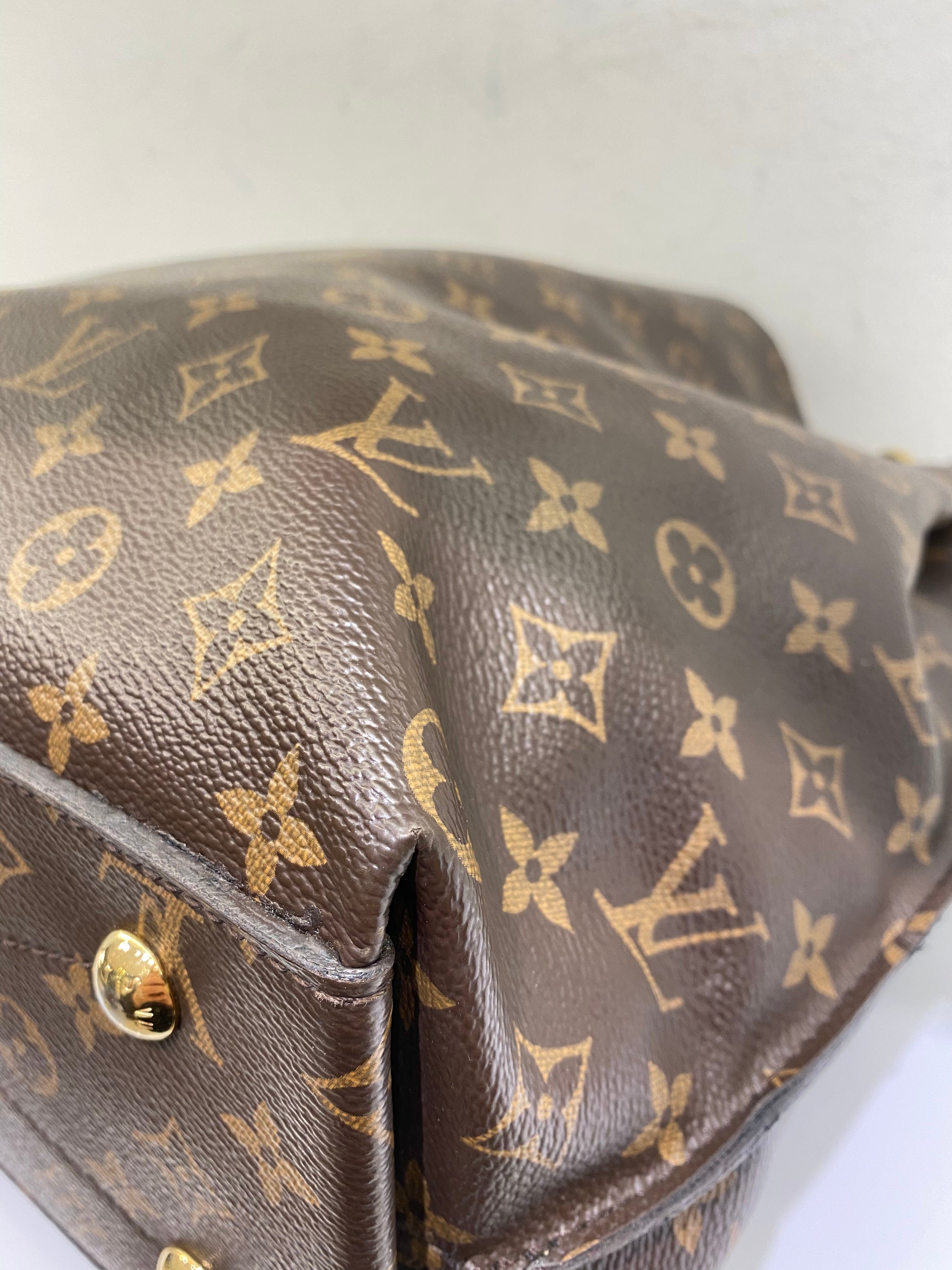 Louis Vuitton Monogram Metis Hobo Bag