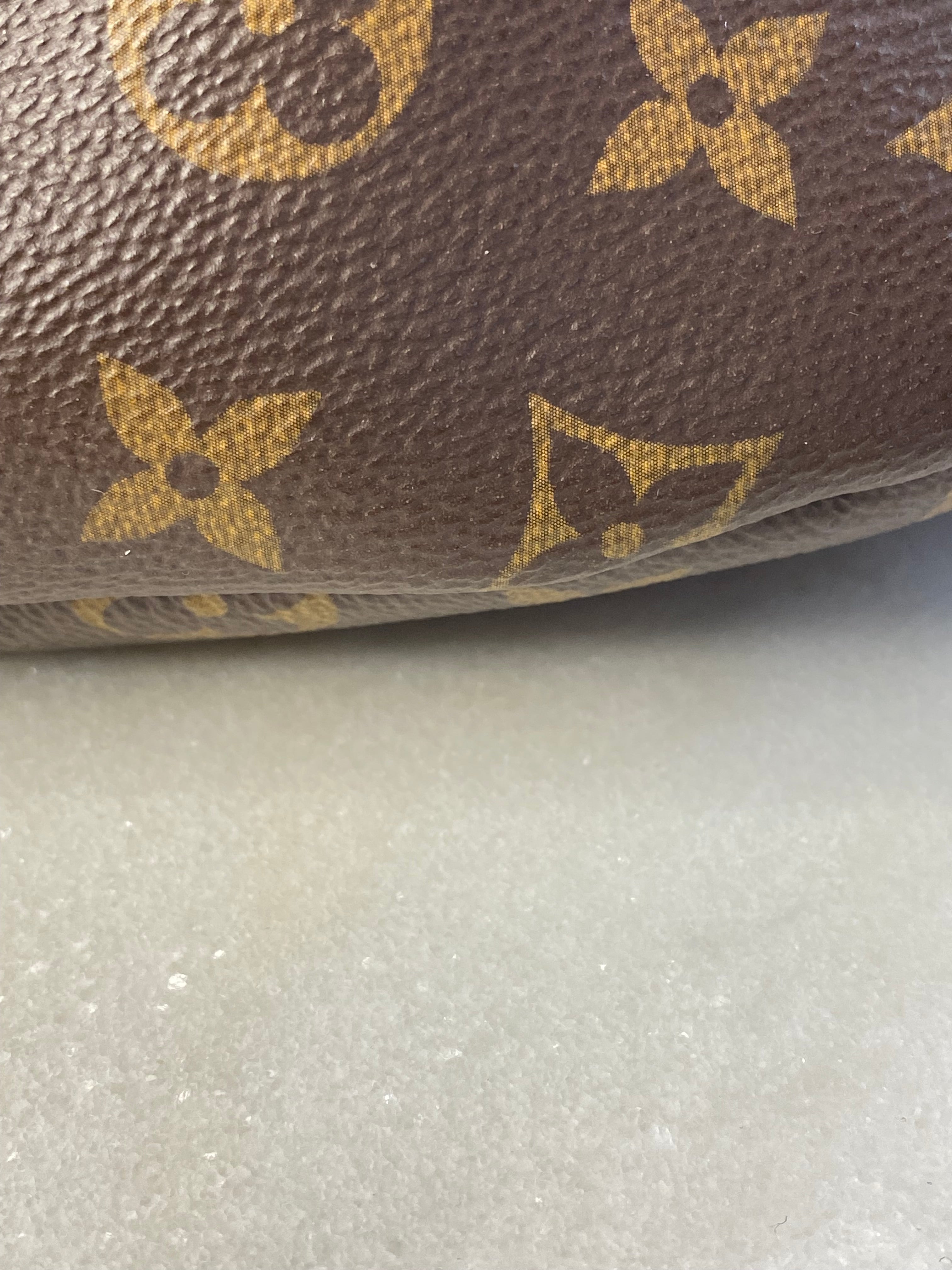 Louis Vuitton Monogram Bumbag