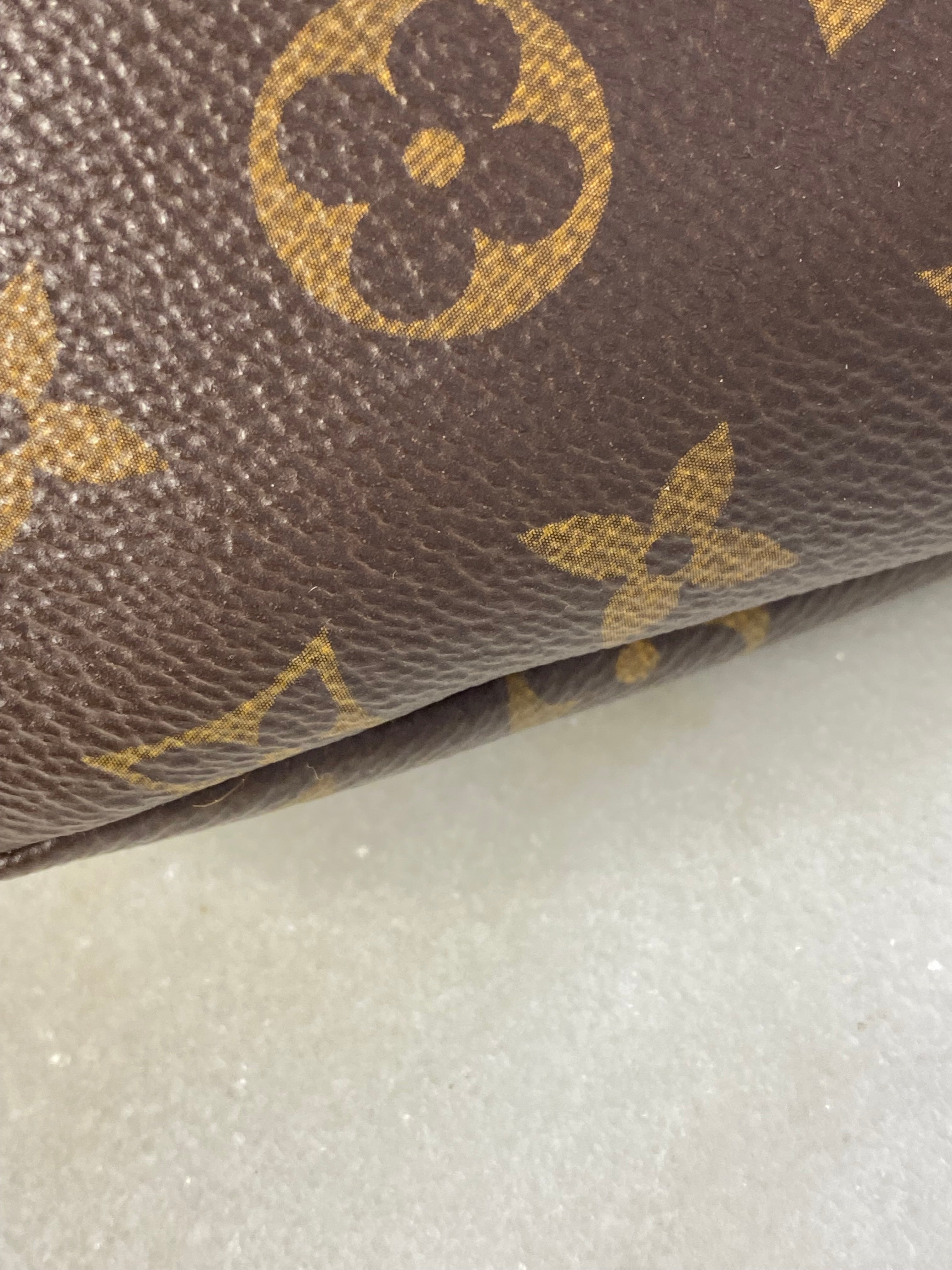 Louis Vuitton Monogram Bumbag