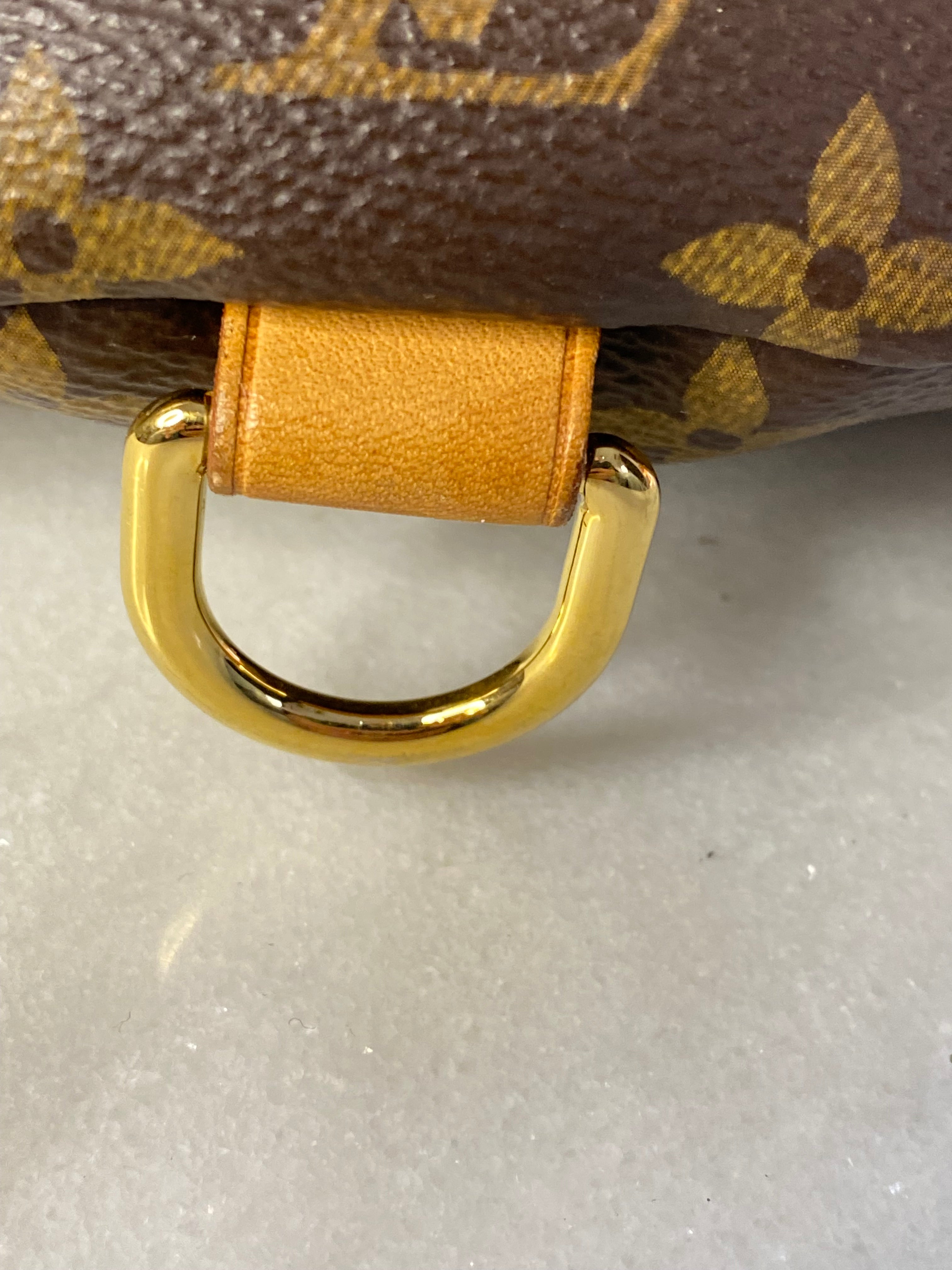 Louis Vuitton Monogram Bumbag