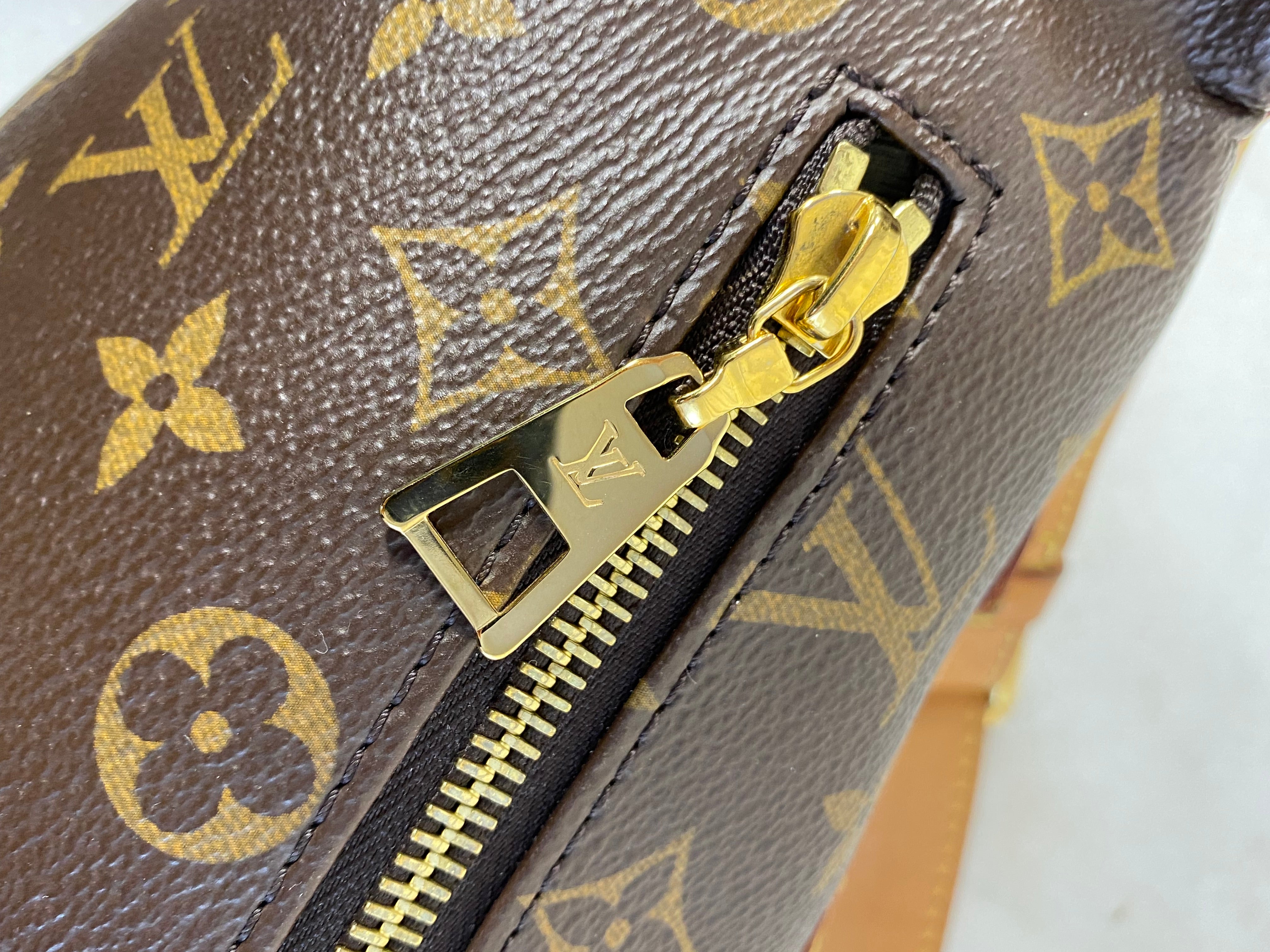 Louis Vuitton Monogram Bumbag