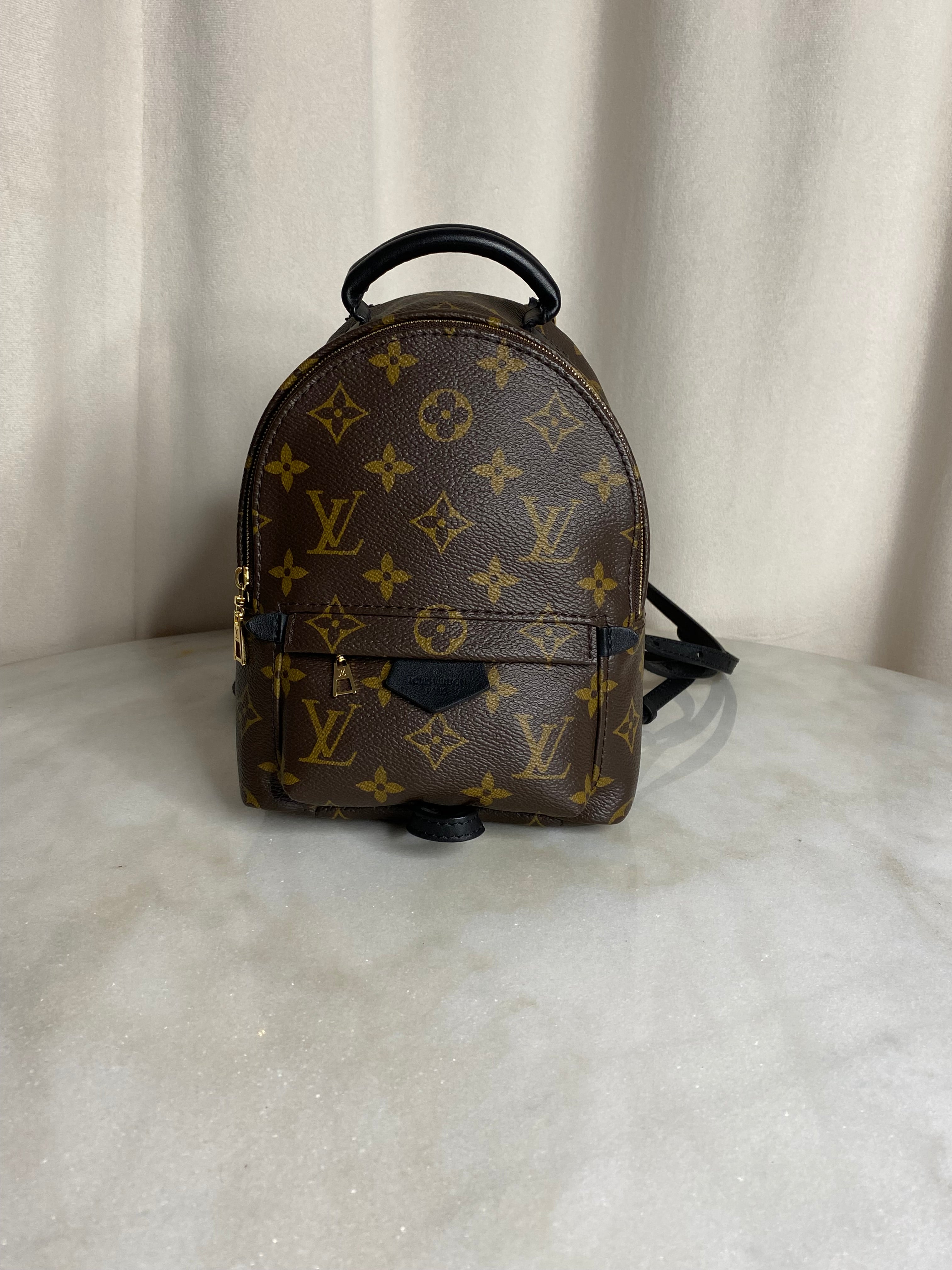 Louis Vuitton Monogram Palm Spring Mini Backpack Bag