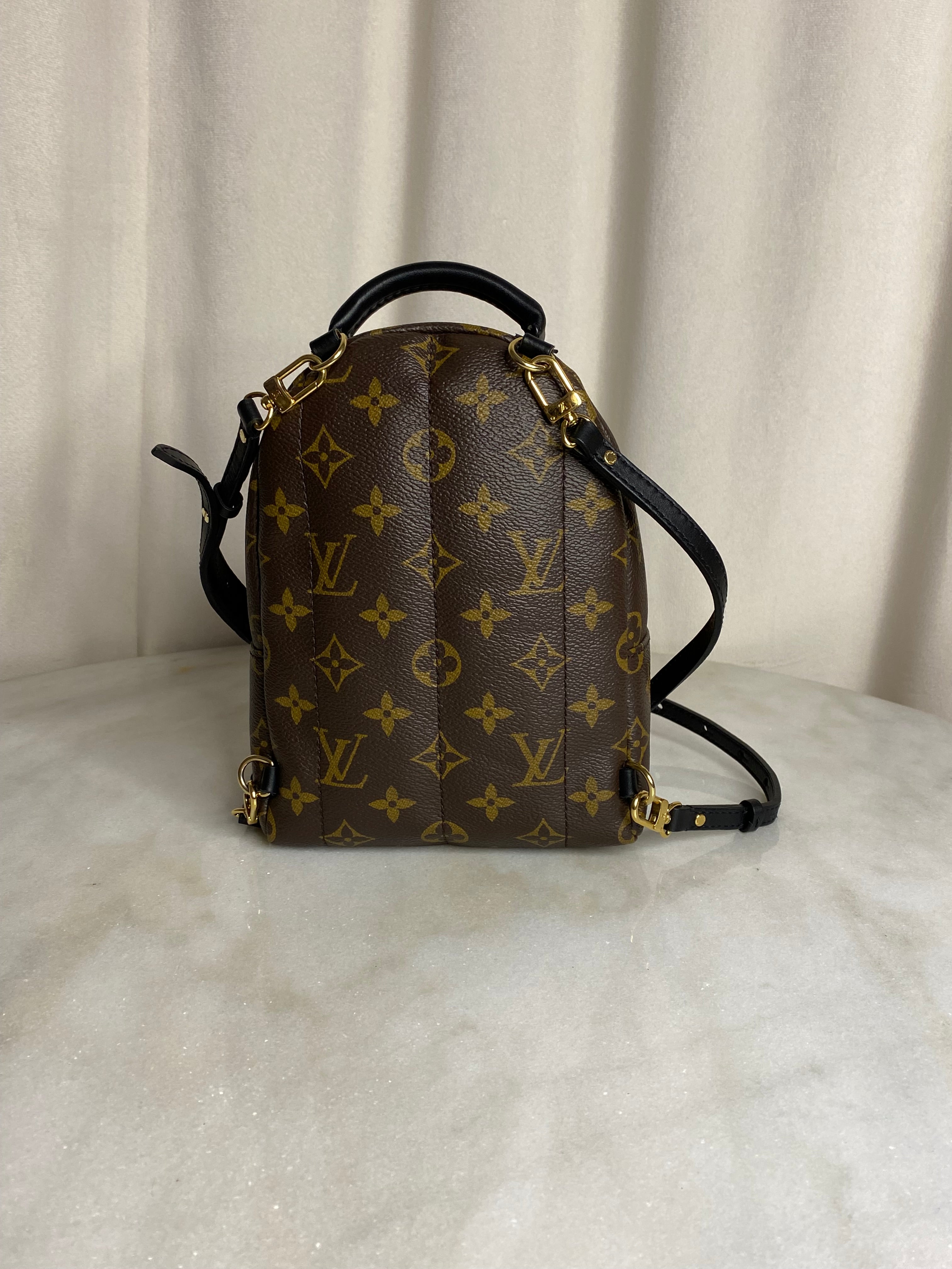 Louis Vuitton Monogram Palm Spring Mini Backpack Bag