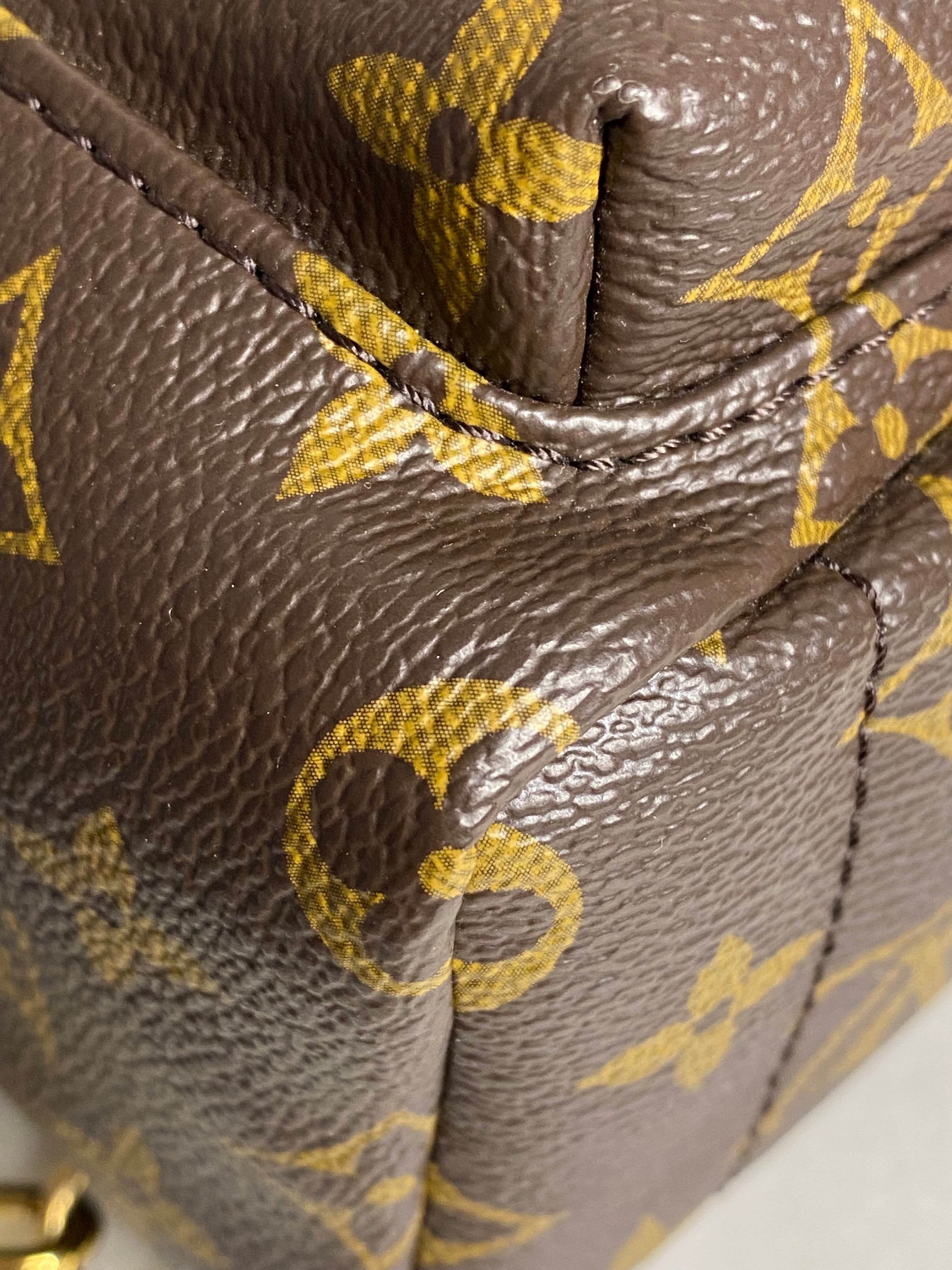 Louis Vuitton Monogram Palm Spring Mini Backpack Bag