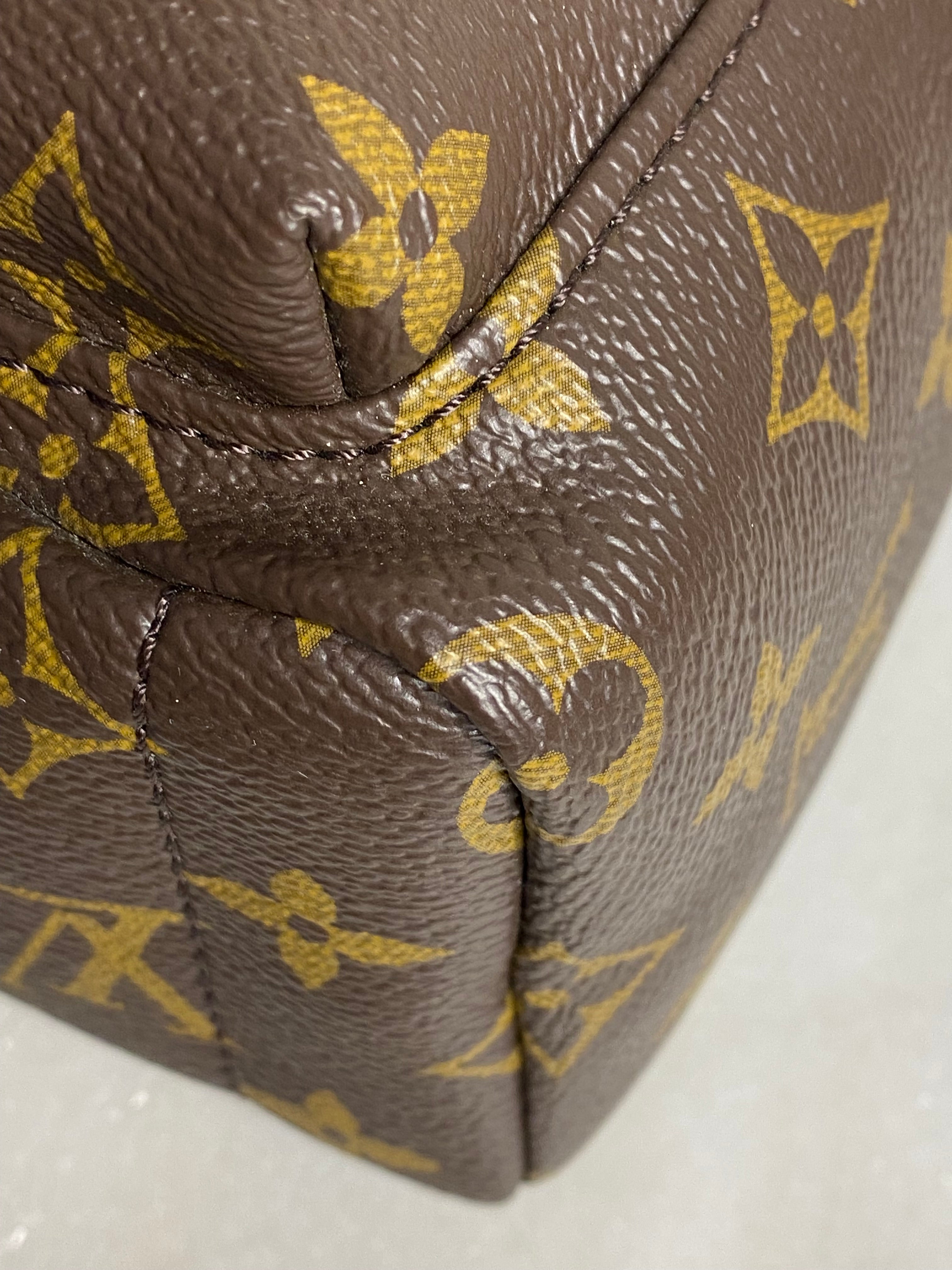 Louis Vuitton Monogram Palm Spring Mini Backpack Bag