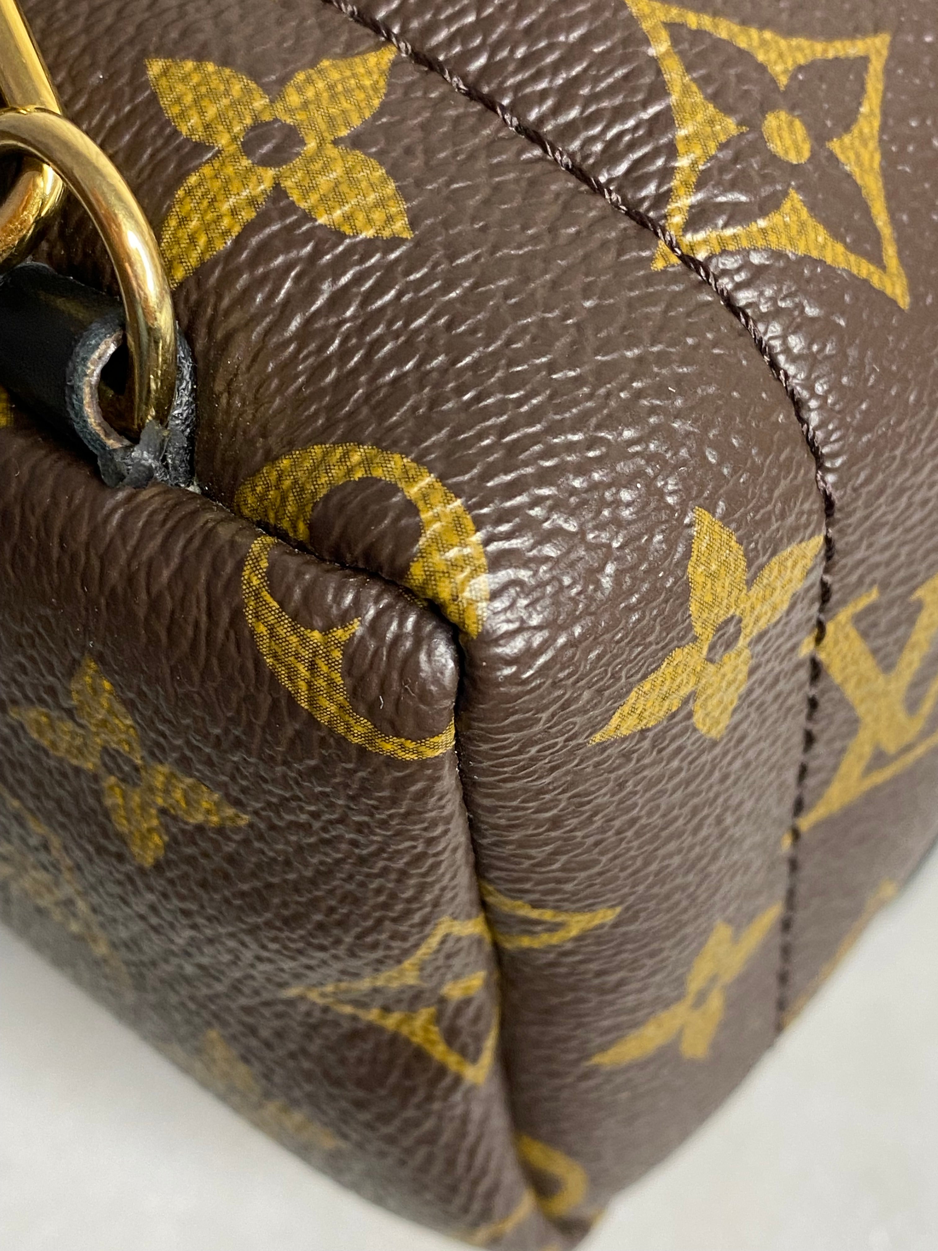 Louis Vuitton Monogram Palm Spring Mini Backpack Bag