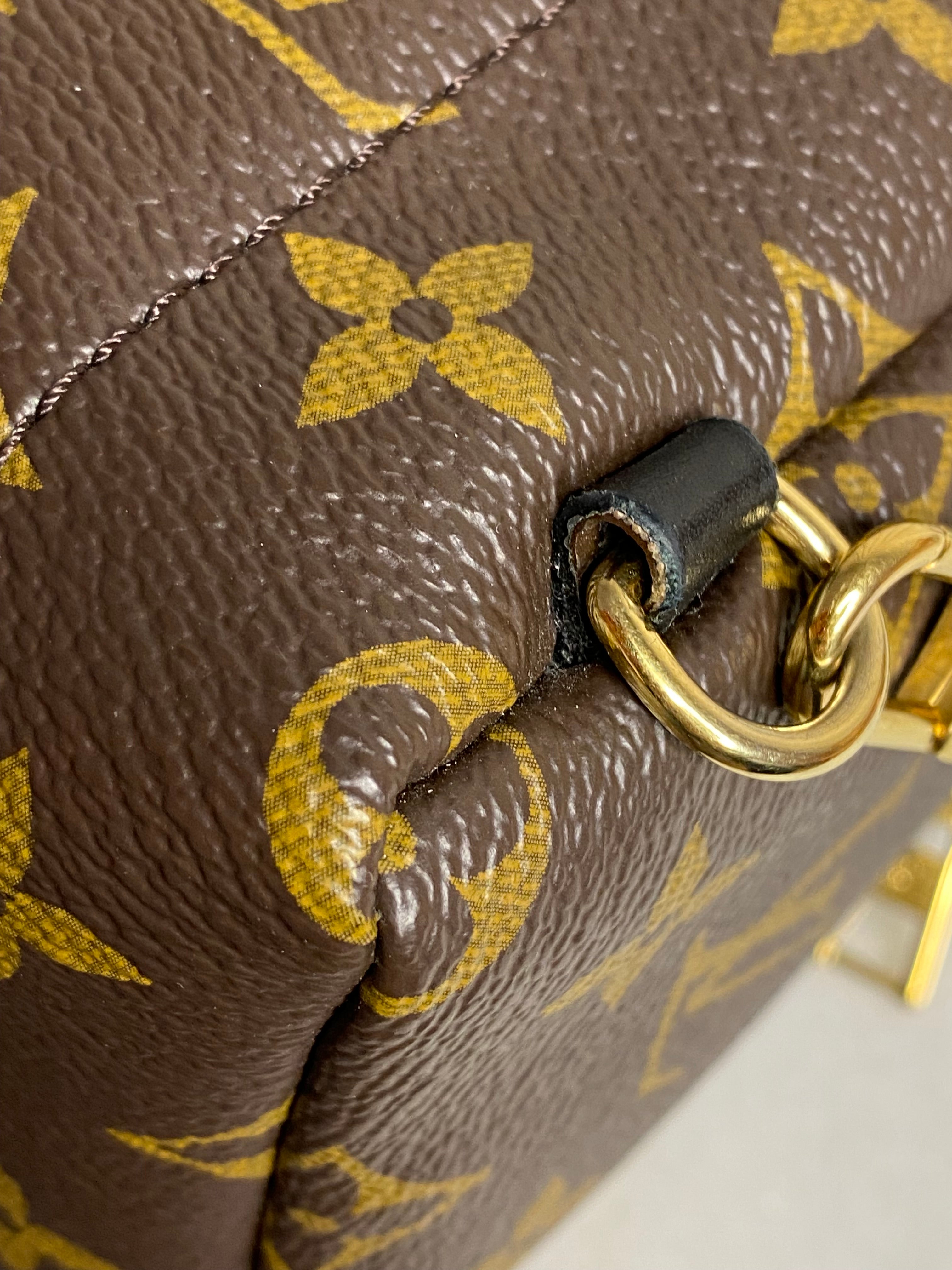 Louis Vuitton Monogram Palm Spring Mini Backpack Bag