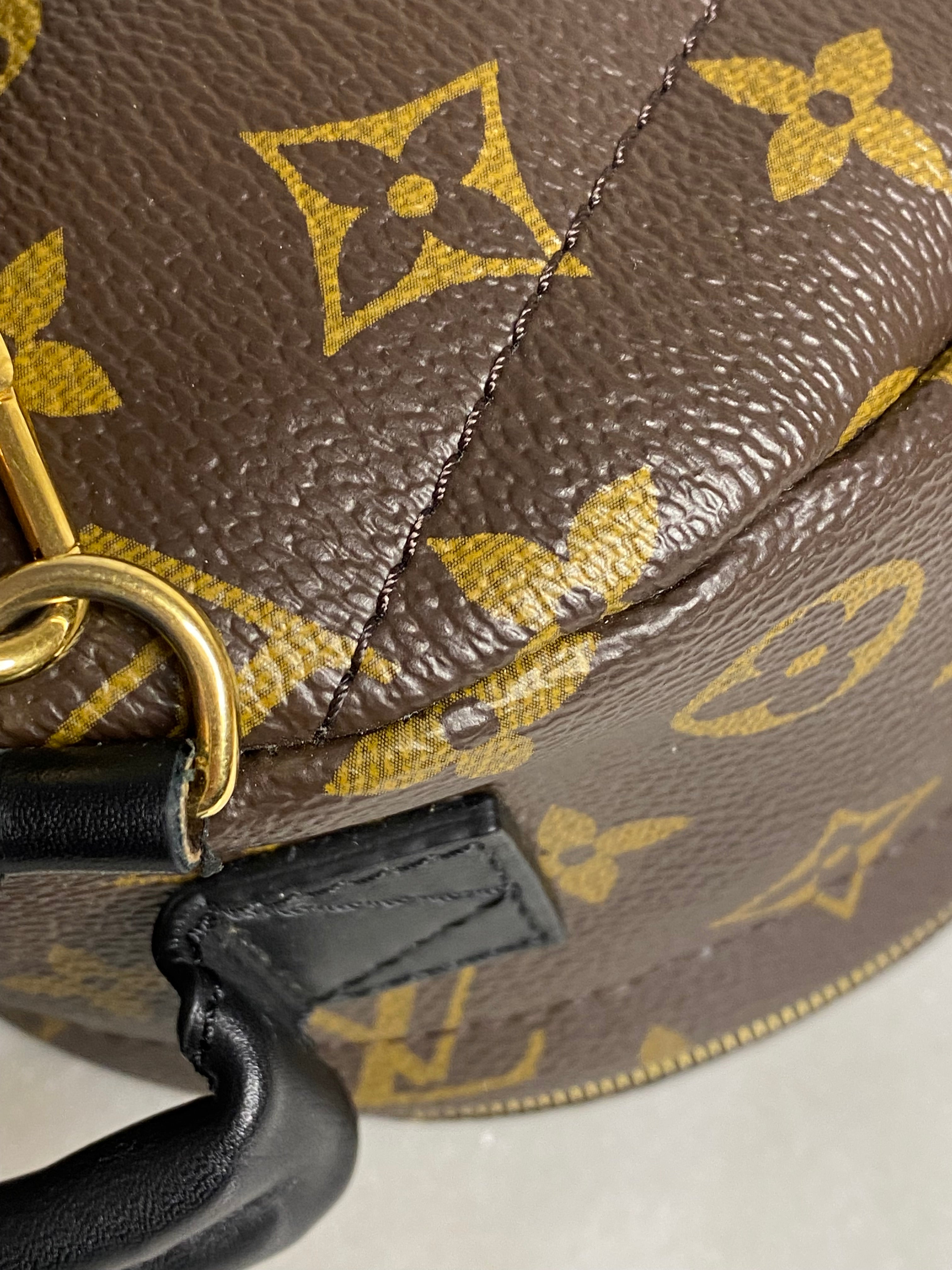 Louis Vuitton Monogram Palm Spring Mini Backpack Bag