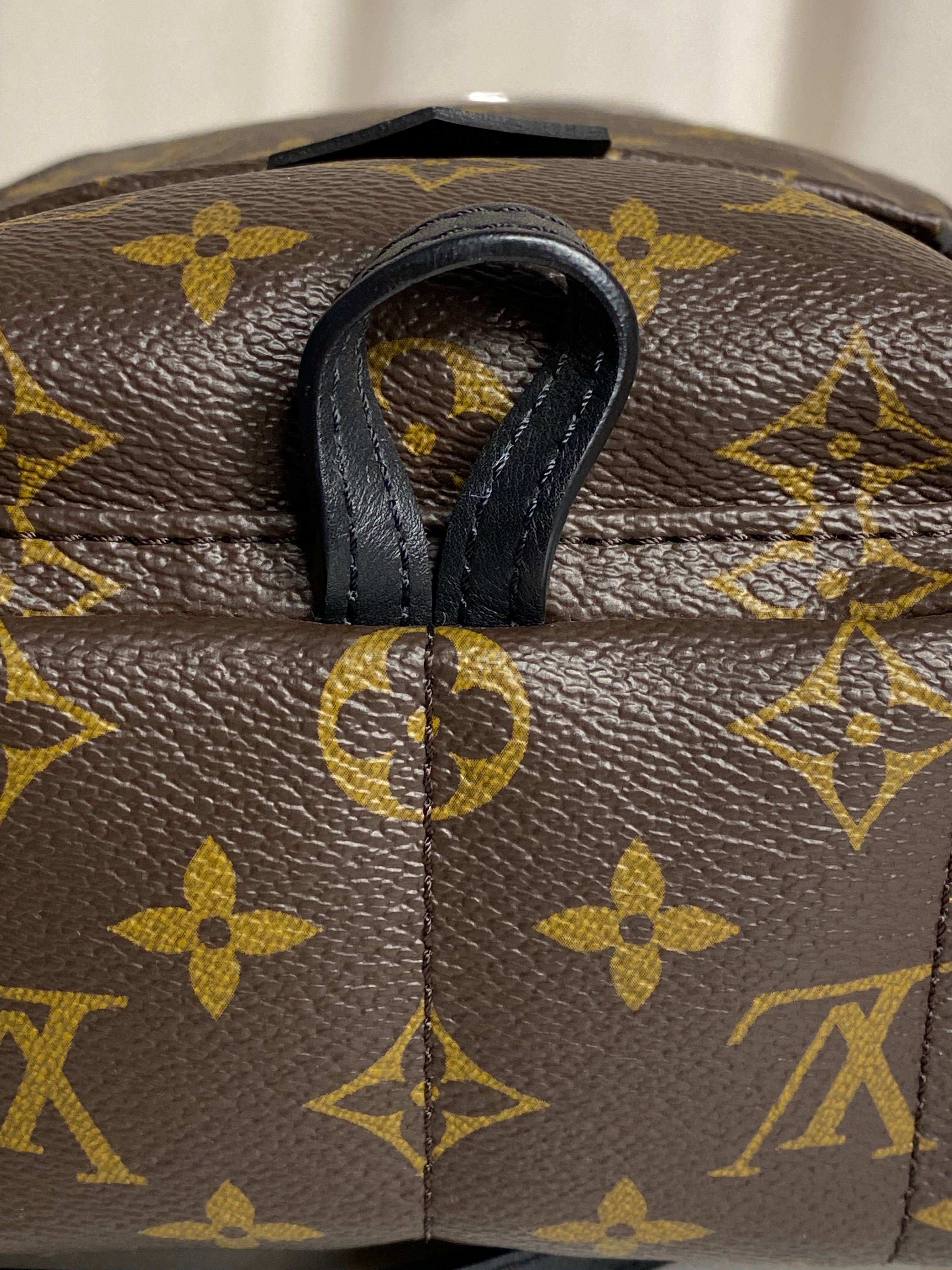 Louis Vuitton Monogram Palm Spring Mini Backpack Bag