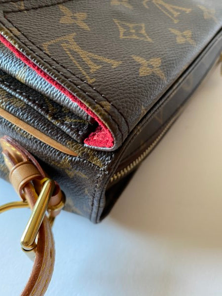 Louis Vuitton Monogram Viva Cite Bag