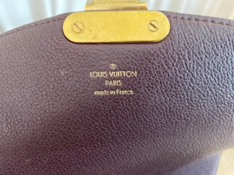 Louis Vuitton Bicolor Monogram Eden MM Top Handle Bag