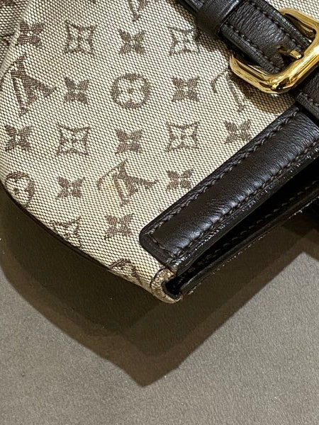 Louis Vuitton Brown Mini Lin Francoise Bag