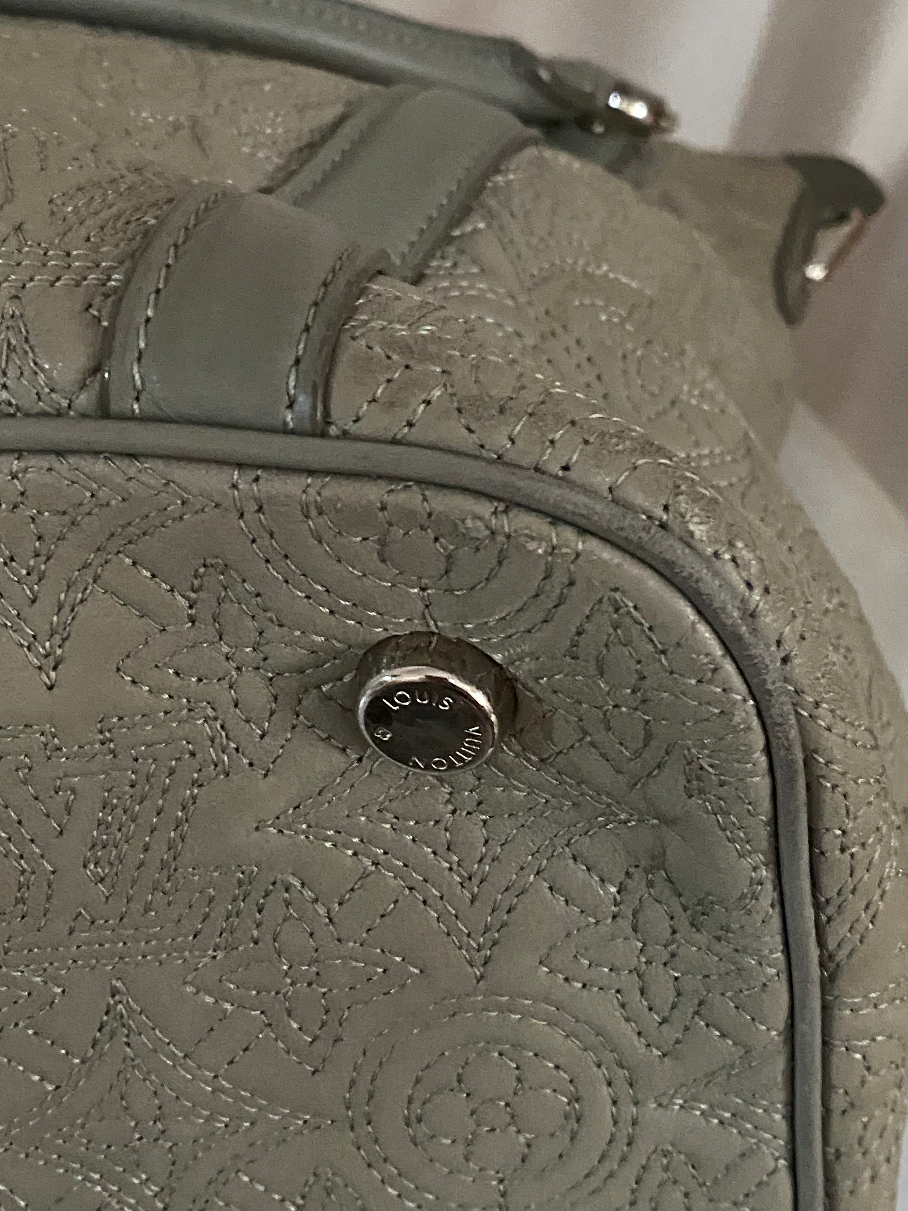 Louis Vuitton Grey Monogram Antheia lxia Bag