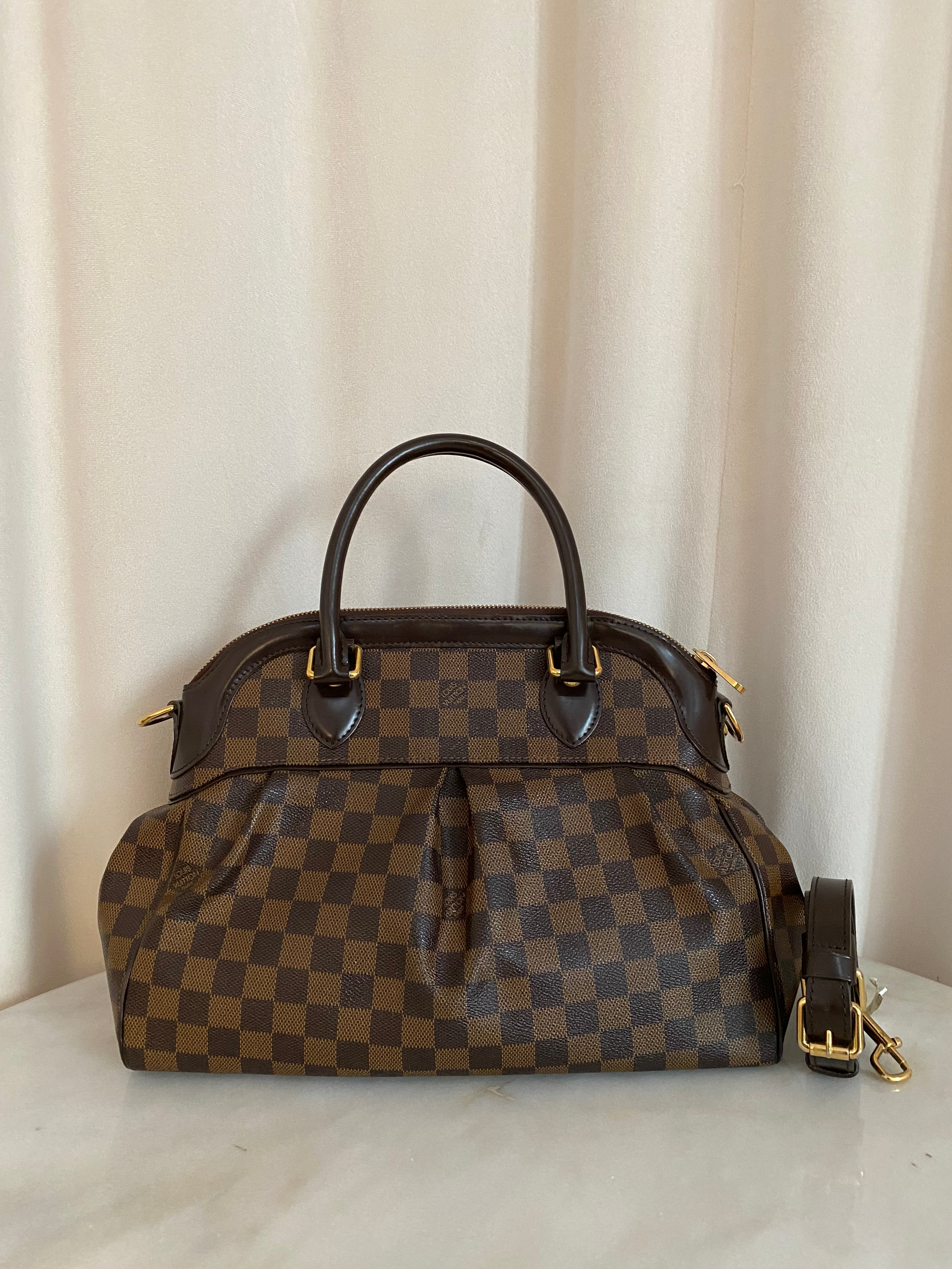 Louis Vuitton Damier Ebene Trevi PM Bag