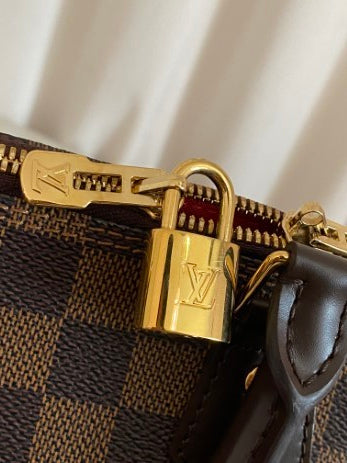 Louis Vuitton Damier Ebene Alma PM Bag