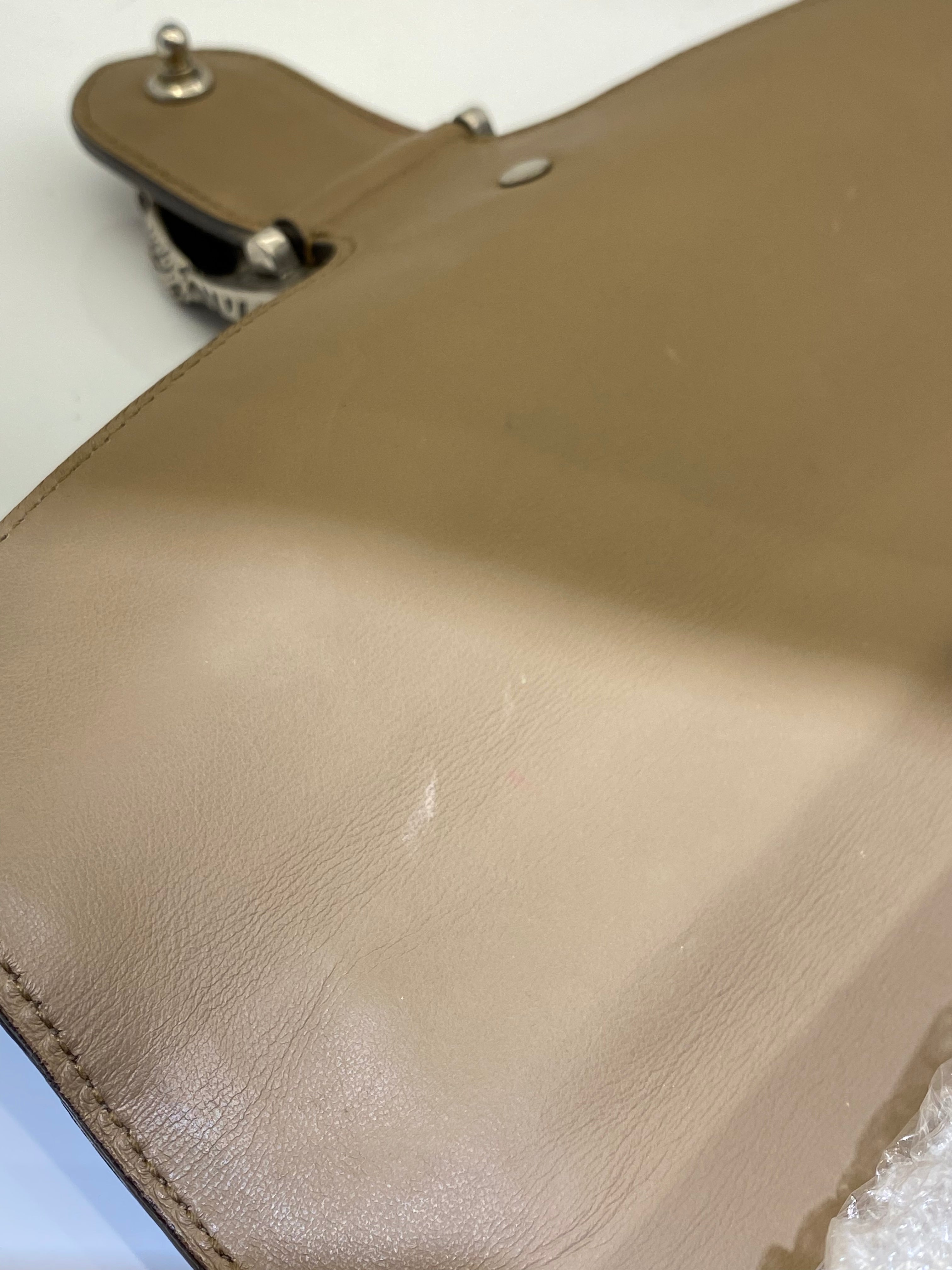 Gucci Beige Velvet Dionysus Bag