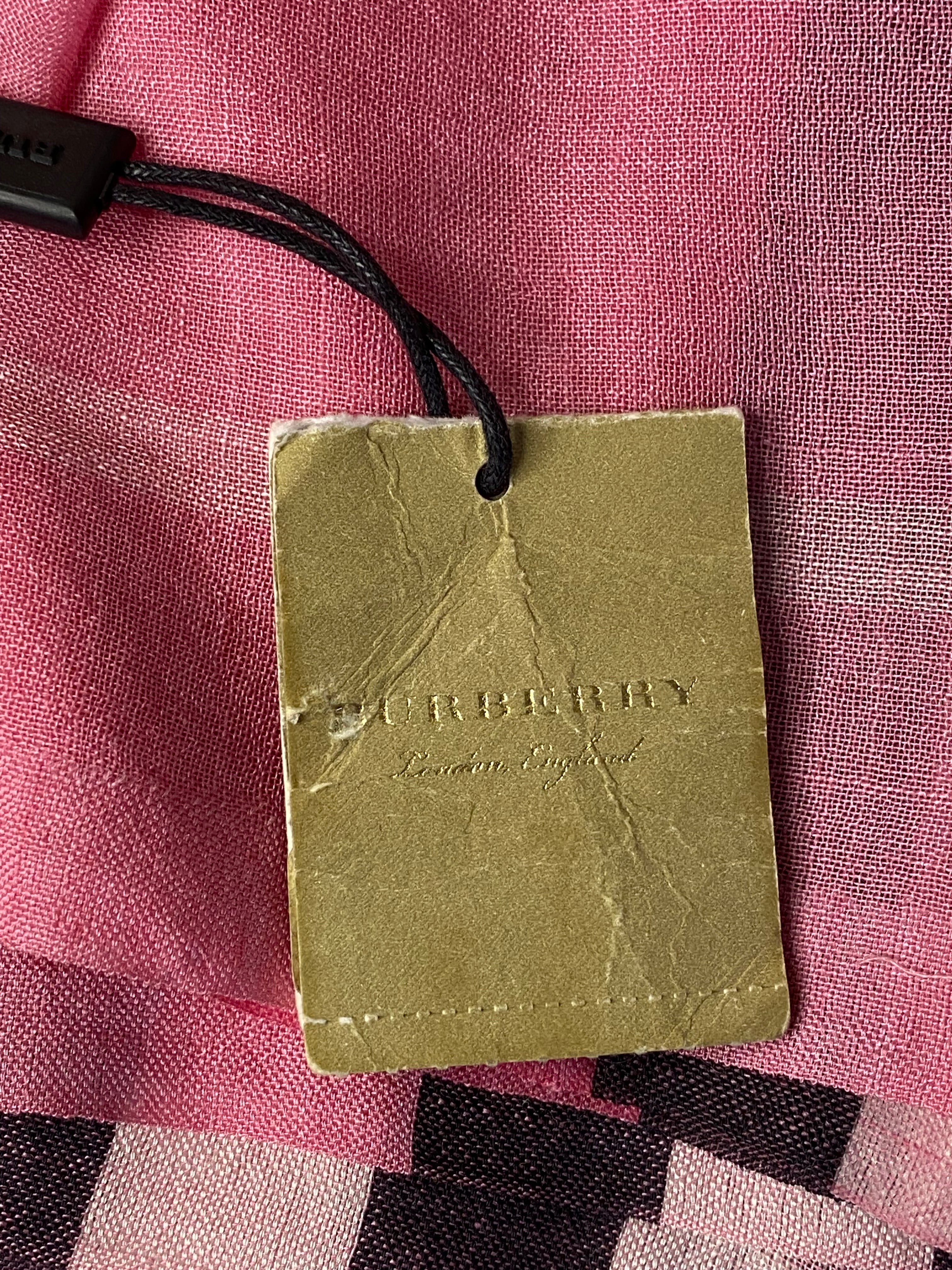 Burberry Trciolor Long Scarf