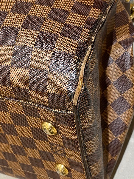 Louis Vuitton Damier Trevi GM Bag