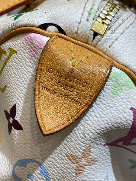 Louis Vuitton White Multicolor Bag