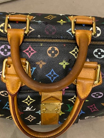 Louis Vuitton Black Multicolor Speedy 30 Bag