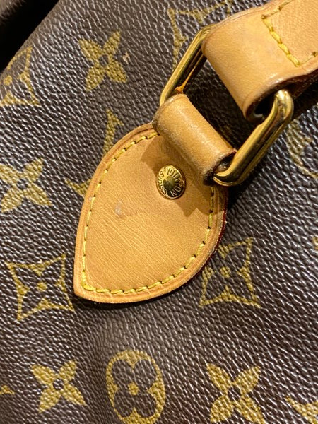 Louis Vuitton Monogram Palermo PM Bag