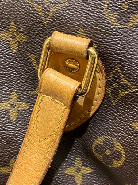 Louis Vuitton Monogram Palermo PM Bag